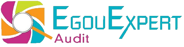 EgouExpert logo